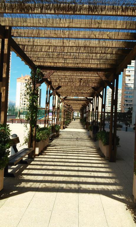 Apartamento Carmentxu Gemelos 26 *